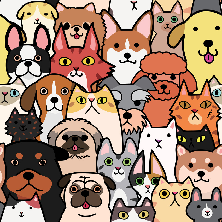 אימוץ כלבים וחתולים