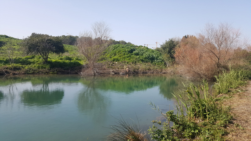 עין אפק טיול טבע מדהים