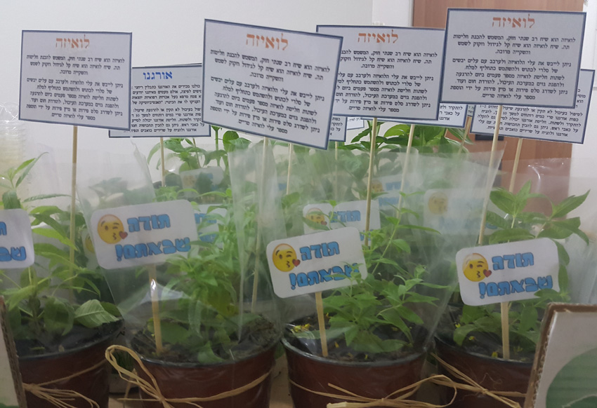 מתנה לאורחים באירוע