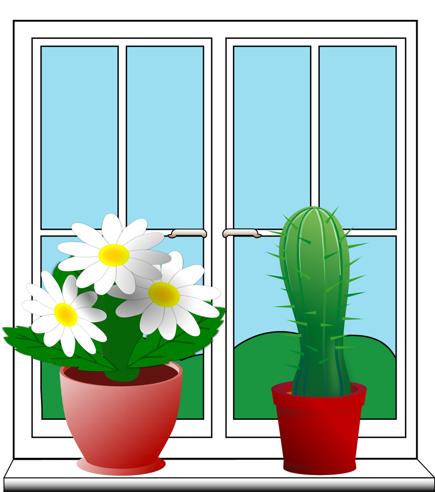 עציץ מחרוזי גיהוץ